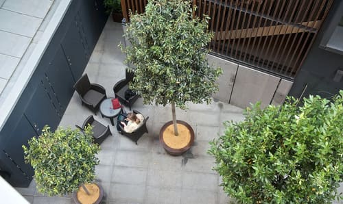 The Bishopsgate Apartments, East London: Courtyard with olive trees and rattan seating