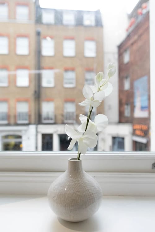 Dean St, Soho (2 bedroom Apartment), West End: Orchid on a windowsill overlooking the street