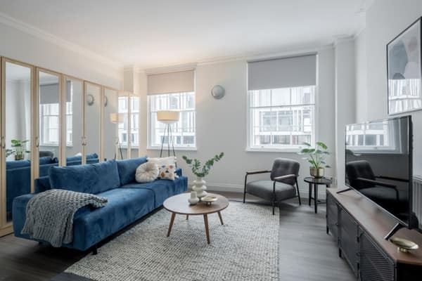 Buckingham Palace Road Apartments, apartment in Victoria
