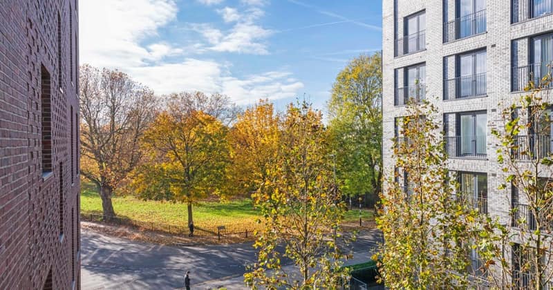 9 On Shoenix, Battersea: Balcony view across gardens towards autumn trees