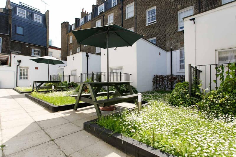 Studios2Let North Gower Street, Central London: Rear garden with lawn and picnic tables